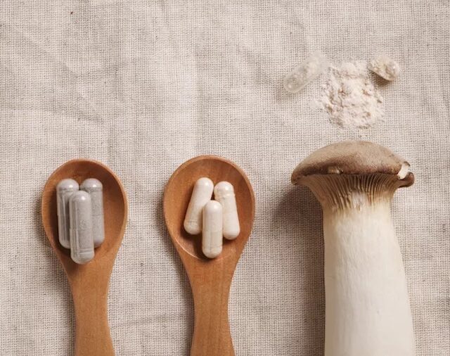 Mushroom Magic: Unlocking the Healing Power of Medicinal Mushrooms for Optimal Health